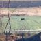 Nadzorne kamere snimile crnog pantera na granici Srbije i Mađarske